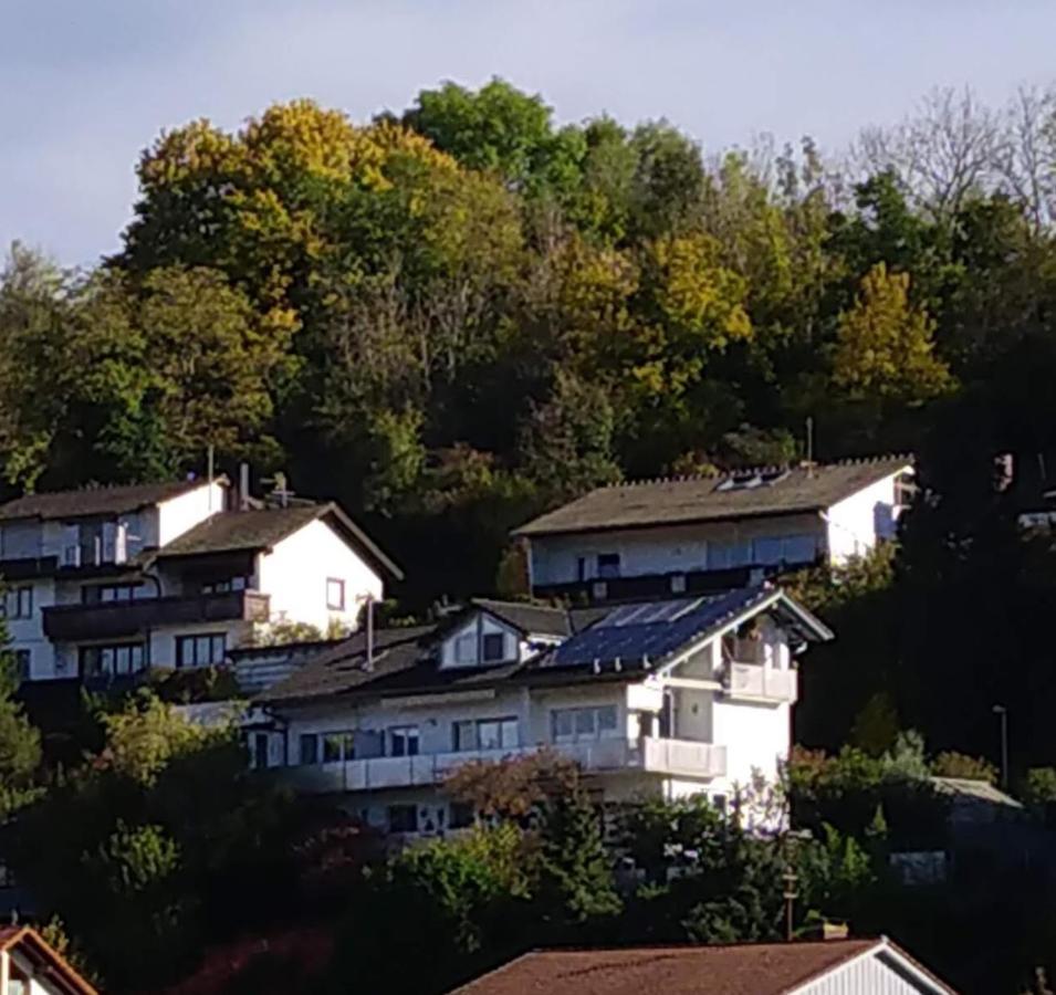 Blick Ins Wutachtal Lejlighed Wutoschingen Eksteriør billede