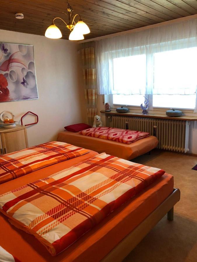 Blick Ins Wutachtal Lejlighed Wutoschingen Eksteriør billede