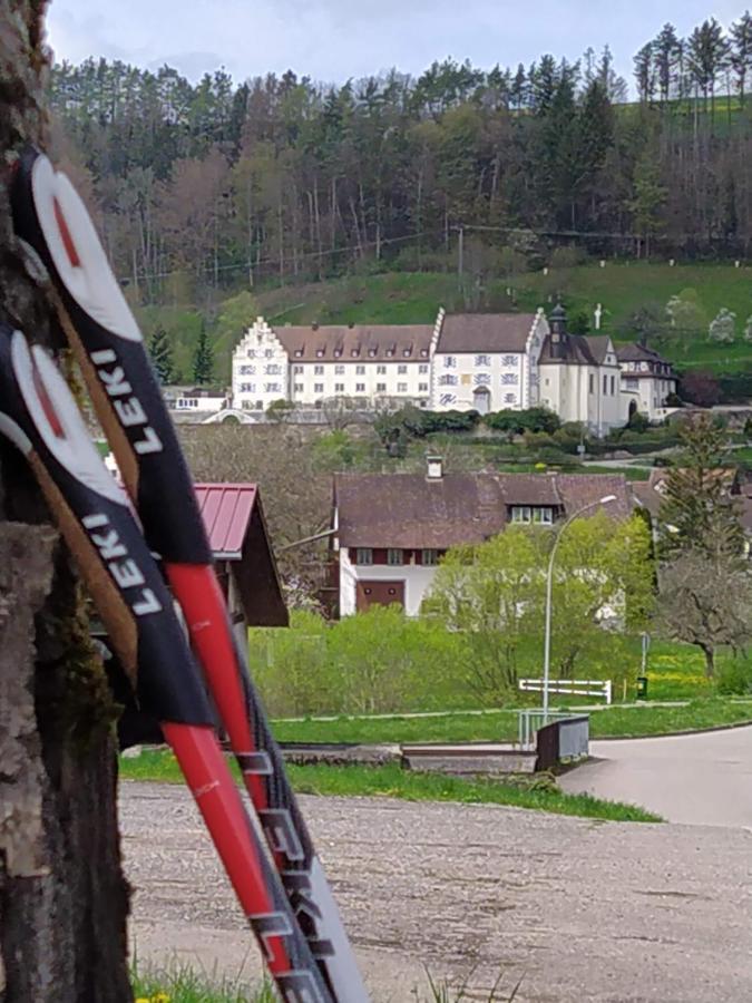 Blick Ins Wutachtal Lejlighed Wutoschingen Eksteriør billede